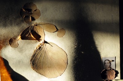 Identità del bosco ©rossella viti 2004