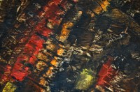 mondoquadro_part1w©rgiannini