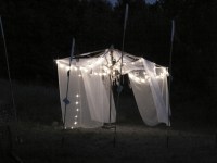 verde-notturno_0102w_phrossviti